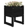 vidaXL Jardini&egrave;res 2 pcs Noir 40x40x52,5 cm Bois massif de pin