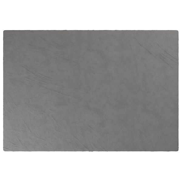 vidaXL Couverture lest&eacute;e avec housse Gris 137x200 cm 10 kg Tissu