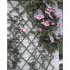 Nature Treillis de jardin 2 pcs 100 x 200 cm PVC Vert