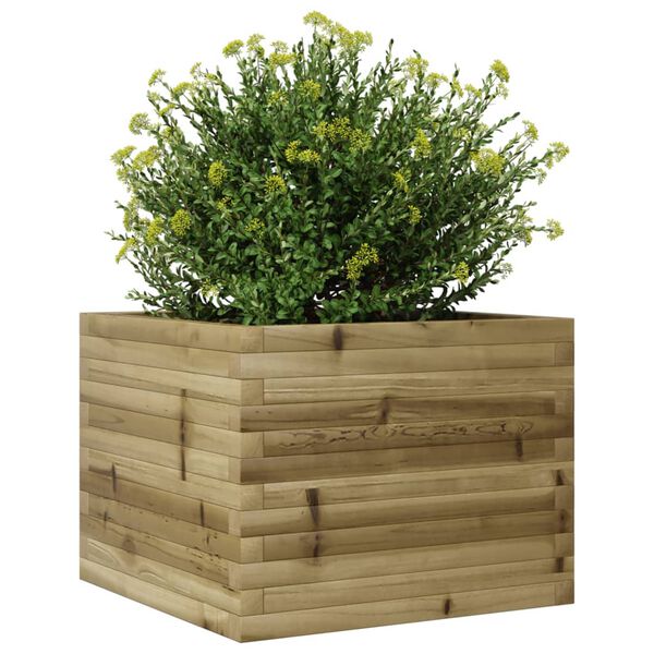vidaXL Jardini&egrave;re 60x60x45,5 cm bois de pin impr&eacute;gn&eacute;