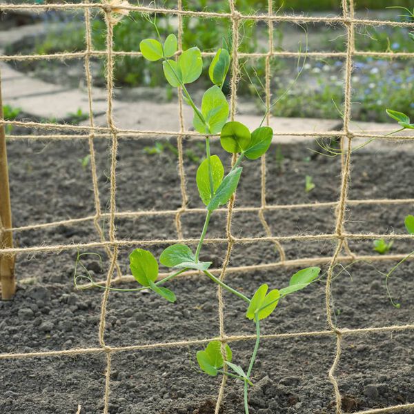 Filet Jute Relaxdays 3x4m Pour Plantes Grimpantes - Maille 15x15cm Concombres/Haricots