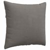 vidaXL Coussins de canap&eacute; 2 pcs Gris clair 50 x 50 cm