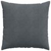 vidaXL Coussins de canap&eacute; 2 pcs Gris fonc&eacute; 60 x 60 cm