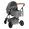 vidaXL Poussette pour b&eacute;b&eacute; 2-en-1 Gris clair Aluminium