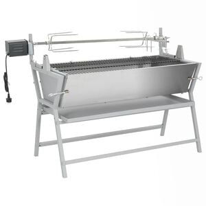 vidaXL Broche &agrave; r&ocirc;tir de barbecue Fer et acier inoxydable