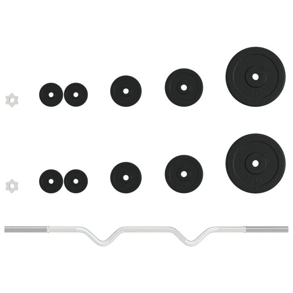 vidaXL Ensemble d'haltères avec plaques 30 kg fonte et acier chromé