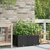 vidaXL Cache-pot de jardin 2 pcs Noir Acier