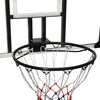 vidaXL Panneau de basket-ball Transparent 106x69x3 cm Polycarbonate