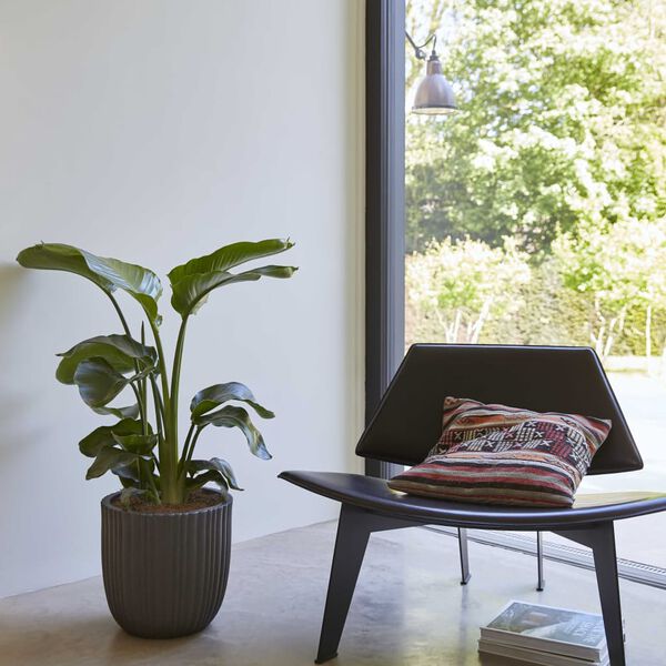 Capi Jardini&egrave;re Urban Tube 35x34 cm noir KBLT932