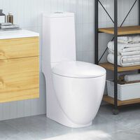 WC Céramique Noir à Evacuation Verticale - Double Chasse 3/6L