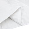 vidaXL Duvet d'été simple avec oreiller 2 pcs Blanc Plume de canard