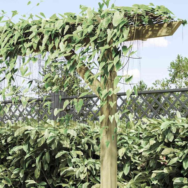 Affichage de l&rsquo;image produit 4 sur 11