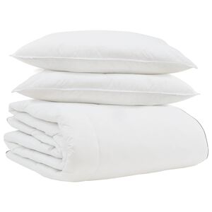 vidaXL Duvet d'hiver avec oreiller 3 pcs Blanc Plume de canard