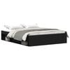 Black_oak
