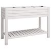 vidaXL Lit sur&eacute;lev&eacute; de jardin blanc 110x45x79 cm polypropyl&egrave;ne