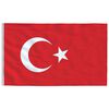 vidaXL Drapeau de la Turquie et m&acirc;t 5,5 m Aluminium