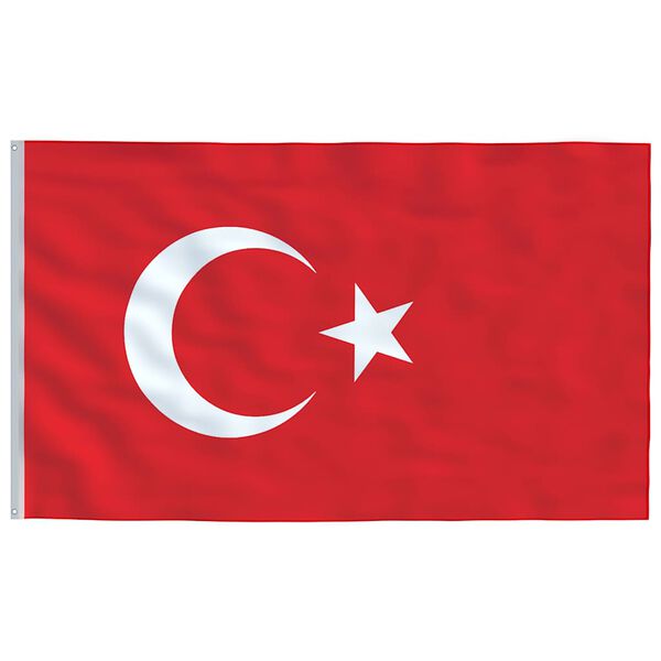 vidaXL Drapeau de la Turquie et m&acirc;t 5,5 m Aluminium