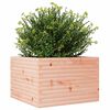 vidaXL Jardini&egrave;re 70x70x46 cm bois massif de douglas