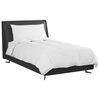 vidaXL Duvet d'&eacute;t&eacute; simple avec oreiller 2 pcs Blanc Plume de canard