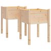 vidaXL Jardini&egrave;res d'ext&eacute;rieur 2 pcs 50x50x70 cm bois de pin massif