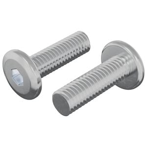 vidaXL Vis 2 pi&egrave;ces Argent&eacute; 8 x 25 mm Acier