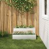 vidaXL Cache-pot de jardin Argent 100 x 60 x 45 cm Acier inoxydable