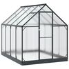 vidaXL Serre de jardin 183,5 x 243,5 x 207 cm