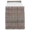 vidaXL Banc de rangement avec coussin Gris 110 x 40 x 50 cm Rotin