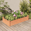 vidaXL Lit surélevé de jardin doublure 120x60x25 cm bois massif sapin