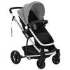 vidaXL Poussette/Landau de b&eacute;b&eacute; 2-en-1 Aluminium Gris et Noir