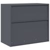 vidaXL Armoire de rangement Anthracite 80 x 40 x 70 cm Acier