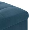 vidaXL Pouf de rangement avec coussin Bleu 40 x 40 x 45 cm Velours