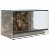 vidaXL Terrarium avec stockage Transparent 50 x 30 x 30 cm Verre