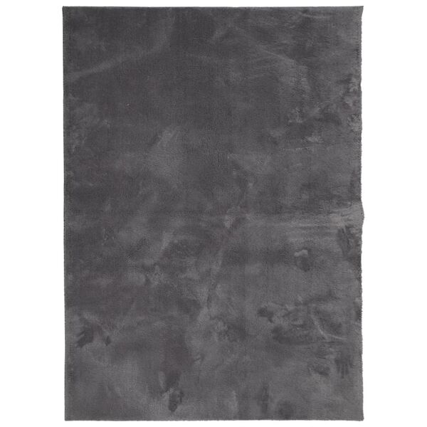 vidaXL Tapis HUARTE &agrave; poils courts doux lavable anthracite 140x200 cm
