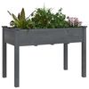 vidaXL Jardinière avec doublure gris 118x59x76 cm bois massif de sapin
