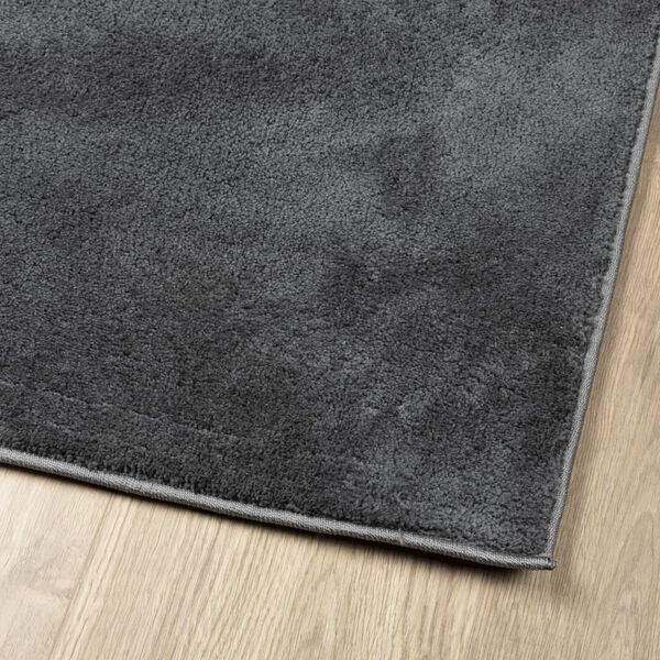 vidaXL Tapis OVIEDO &agrave; poils courts anthracite 240x240 cm