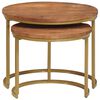 vidaXL Tables basses gigognes 2 pcs Bois de mangue massif et acier