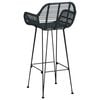 vidaXL Chaise de bar 2 pcs Noir 55 x 52 x 92 cm Rotin et métal