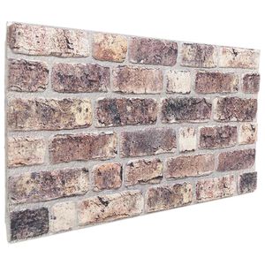 vidaXL Panneaux muraux 10 pc 100 x 50 cm Marron fonc&eacute; Mousse EPS
