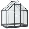 vidaXL Serre de jardin avec porte Anthracite 183,5 x 123 x 207 cm