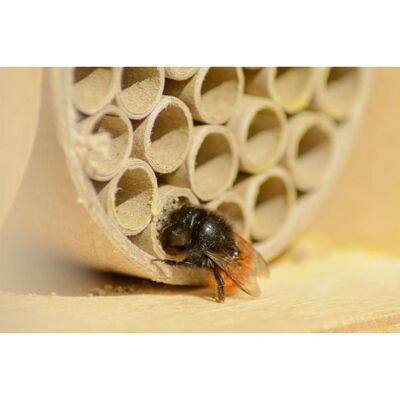 LUXUS-INSEKTENHOTELS Maison à abeilles et pochettes en papier et trous