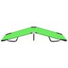 vidaXL Chaise longue pliable acier vert