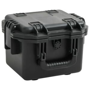 vidaXL Valise de vol portable Noir 30x24,5x20 cm PP