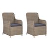 vidaXL Chaises d'ext&eacute;rieur et coussins lot de 2 R&eacute;sine tress&eacute;e Marron