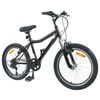 vidaXL V&eacute;lo pour Enfants 20 Pouces 6-Speed