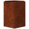 vidaXL Jardini&egrave;re Rouill&eacute; 40x40x45 cm Acier corten