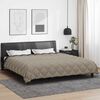 vidaXL Duvet d'hiver Gris clair et anthracite 240 x 260 cm Microfibre