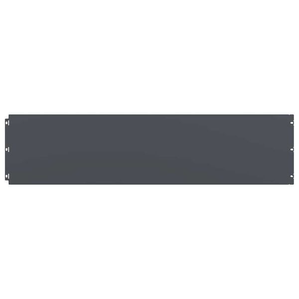 vidaXL Bordures pelouse 10pcs anthracite 25x103cm acier lamin&eacute; &agrave; froid