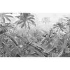 Komar Papier peint photo Amazonia Noir et blanc 400x250 cm