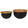 vidaXL Ensemble de tables basses 2 pcs noir bois récupération massif